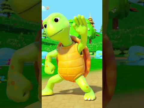 Заяц И Черепаха Учебное Видео #shorts #kids #hareandtortoise #littletreehouse