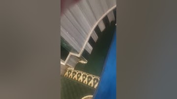 صلاة الجمعة بمسجد النور بمصر، القارئ همام عادل شاهين