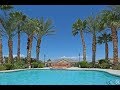 Yacking Black Bird in Palm Tree. Henderson, Nevada