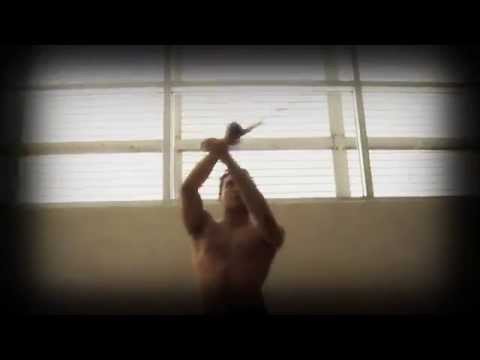 Circus - Alan Ascencio (Martial Arts demo): Capoei...