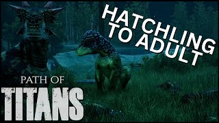 Hatchling to Adult  | Pachycephalosaurus | Vesta | Path of Titans | WWD: Realism Gameplay