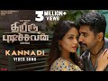 Thimiru Pudichavan - Kannadi (Video Song) | Vijay Antony | Nivetha Pethuraj | Ganesha