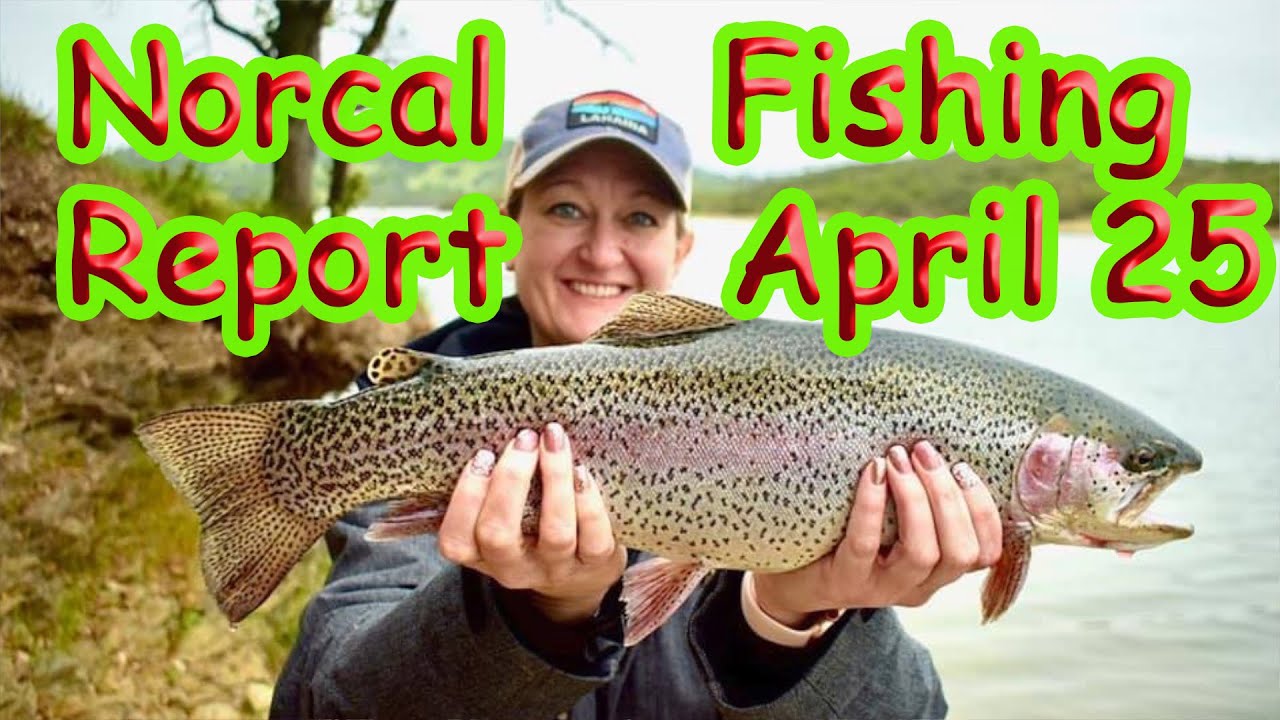 Norcal Fishing Report: April 25 - YouTube