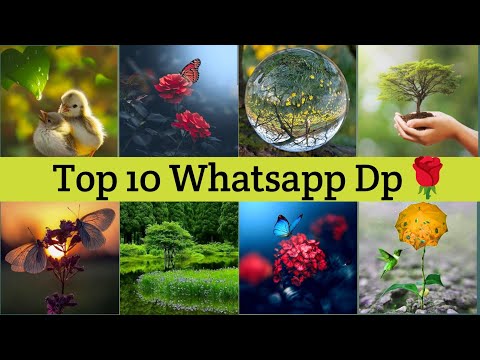 Nature Dp Pictures For Whatsapp 🌿 Dp pics For Nature💐🌹🌿