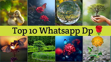 Nature Dp Pictures For Whatsapp 🌿 Dp pics For Nature💐🌹🌿