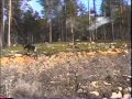 29北欧の旅10