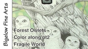 Polychromos color along and lesson - Owlets pt 2: Fragile World