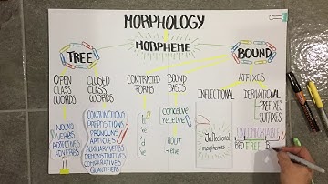 MORPHOLOGY & SYNTAX :)