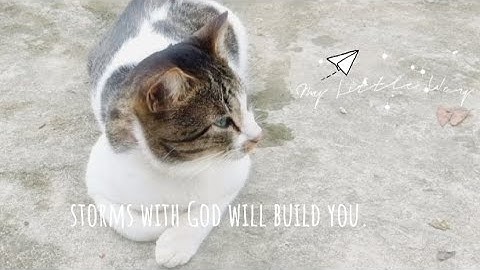 UNCONDITIONAL LOVE does NOT mean unconditional TOLERANCE.