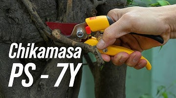 Trên tay Kéo cắt cành Chikamasa PS-7Y