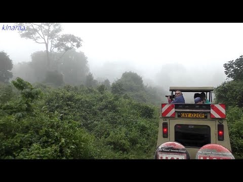 NATURE AT ITS BEST ABERDARE NATIONAL PARK AND THE ARK