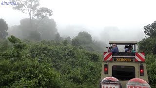 NATURE AT ITS BEST ABERDARE NATIONAL PARK AND THE ARK