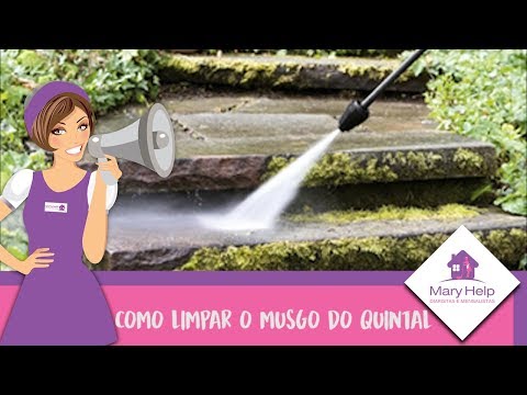 Vídeo: Como você limpa musgo espanhol interno?