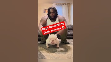 Dogs Resembling Their Humans 🐶 @TheJessiiShow