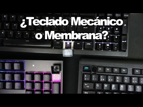 Video: Teclados Mecánicos O De Membrana