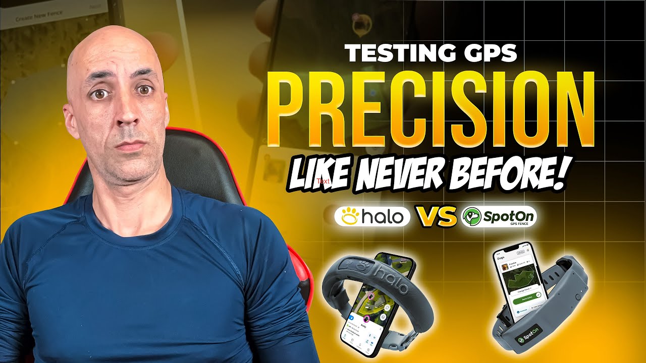 Halo vs SpotOn GPS Dog Fence Precision Test Comparison YouTube