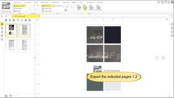 webPDF - How to create an image export from a PDF