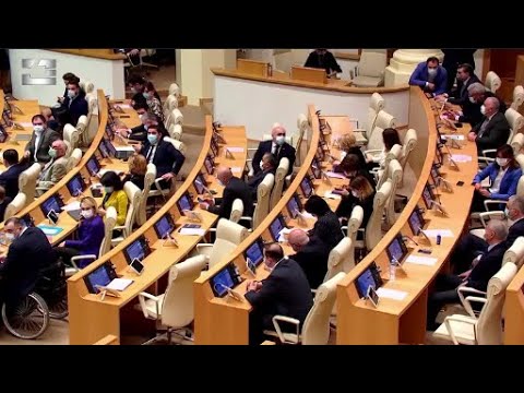 ბორინკა ივანიშვილი აზიანებს ქვეყანას - მწვავე პოლიტიკური განცხადებები სესიაზე