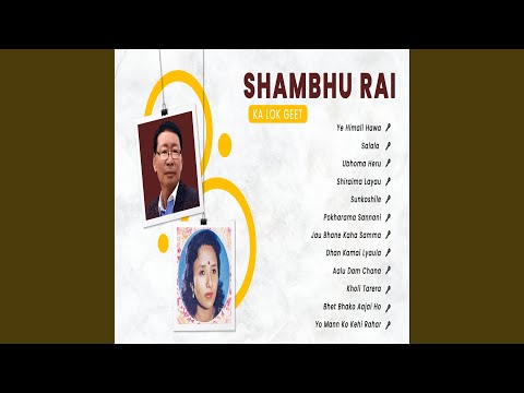 Tonton Shiraima Layau di YouTube