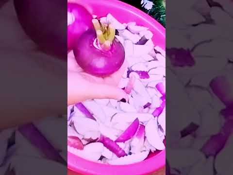 مخلل اللفت بطعم رائع ومقر مش 