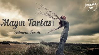 Şebnem Ferah - Mayın Tarlası (Şarkı Sözü/Lyrics) HD Resimi