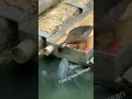 ٢٧ ديسمبر ٢٠٢٠ ٢٧ ديسمبر ٢٠٢٠
