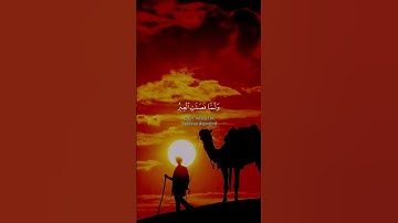 تلاوة عطرة للقارئ عبدالعزيز سحيم 🥺 #القرآن #القرآن_الكريم #اكسبلور #راحة_نفسية #حالات_واتس #فردوس
