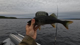 Северная Карелия. Рыбалка в глуши. Часть первая.