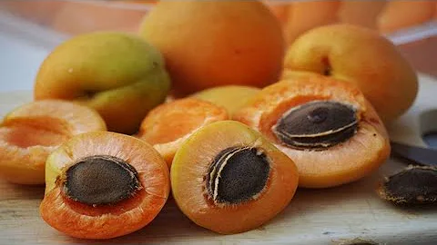 ¿Qué fruto seco contiene más cianuro?