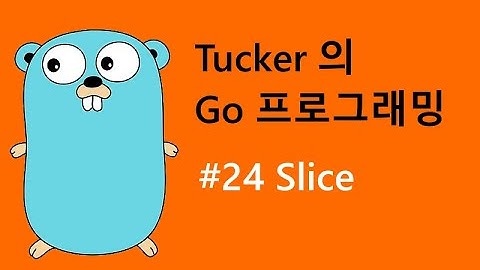 컴맹을 위한 Go 언어 기초 프로그래밍 강좌 24 - Slice