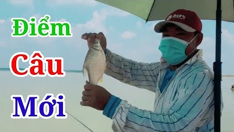Câu cá tự nhiên hồ dầu tiếng _ khám điểm câu gò đá số 4 bến quỷnh @caudaotv7173