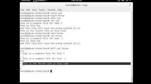 Basics Implementing the Diff command