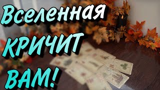видео: ‼️ВАЖНО УСЛЫШАТЬ✨Вселенная дает ВАЖНЫЙ ЗНАК✨ картинка: ‼️ВАЖНО УСЛЫШАТЬ✨Вселенная дает ВАЖНЫЙ ЗНАК✨