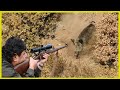 BEST WİLD BOAR HUNT! | 2020 SEASON | ANKARA,TURKEY