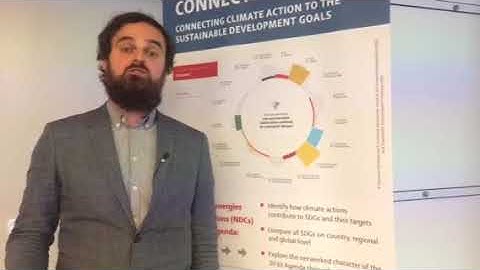 Adis Dzebo explains the NDC-SDG tool