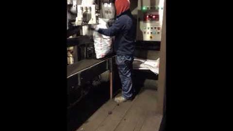 Coal Bagging Machine / Coal Bagging Plant / Dev Automation