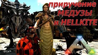 Приручение медузы и зомби виверны на карте Hope Приручение медузы и зомби виверны на карте Hope