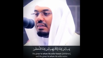 لله ملك السماوات والارض يخلق ما يشاء تلاوة خاشعة ياسر الدوسري