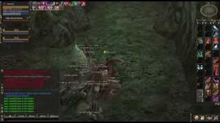 Lineage 2 Stakato Nest Trains 3