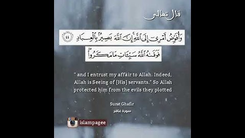تلاوه مبكية..وافوض امري الي الله