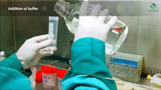 Antimicrobial Efficacy Testing | Estudio de eficacia antimicrobiana