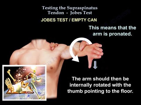 Testing the Supraspinatus muscle , Jobes Test - Everything ...
