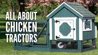 Chicken Tractors: 15 Tips on How You Can Build One Easily