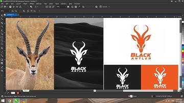 Master CorelDRAW: Best Logo Design Tips for Beginners & Experts