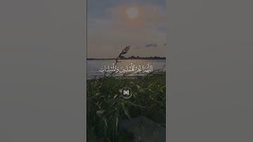 اللهم اغفر لنا وارحمنا #القرآن_الكريم #قرآن #المصحف #تلاوة_خاشعة