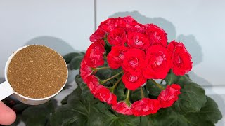 видео: ПОДСЫПАЛА 1 РАЗ и ИЗБАВИЛАСЬ ОТ МОШЕК НАВСЕГДА! картинка: ПОДСЫПАЛА 1 РАЗ и ИЗБАВИЛАСЬ ОТ МОШЕК НАВСЕГДА!