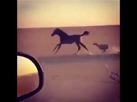 حالات واتس يارب لاتجعل موقف عرج عند الخسيس