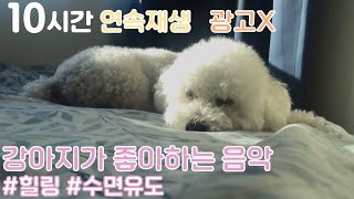 dog music to go to sleep/강아지수면음악