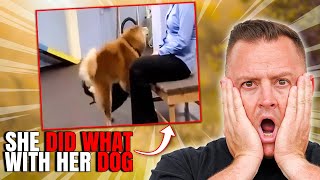 Expert Dog Trainer Breaks Down the Most INSANE Dog Videos on the Internet by American Standard Dog Training 214,025 views 1 year ago 14 minutes, 16 seconds