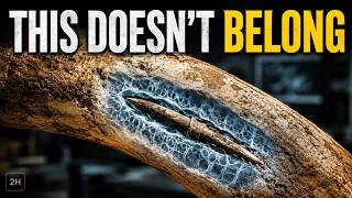 A CT Scan of One Mastodon Rib Revealed Something Archaeologists Had Never Seen There Before